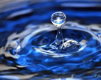 gota no encontrada